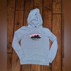 Patagonia Hoodie